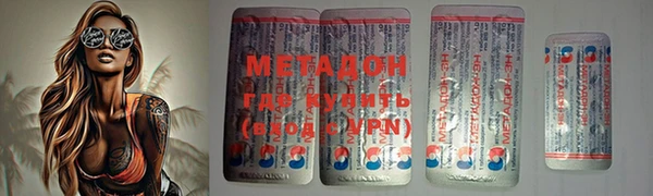 прущие грибы Магадан