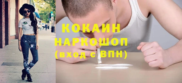 прущие грибы Магадан
