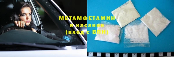 прущие грибы Магадан