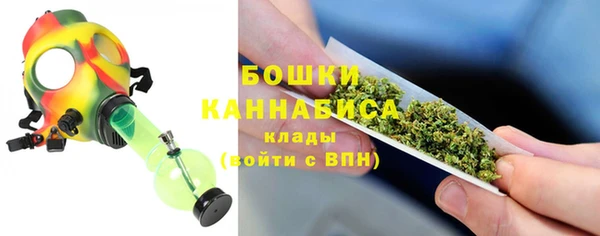 хмурый Липки