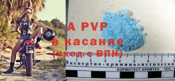 прущие грибы Магадан
