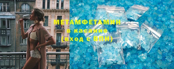 прущие грибы Магадан