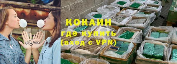 прущие грибы Магадан
