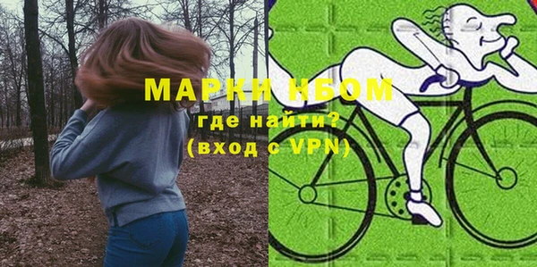 прущие грибы Магадан