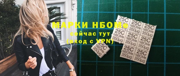 прущие грибы Магадан