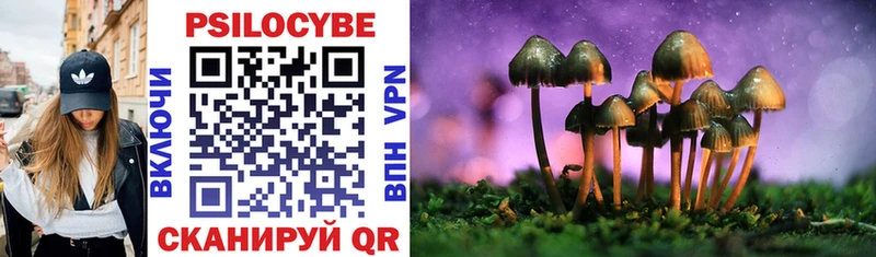 Псилоцибиновые грибы MAGIC MUSHROOMS  дарнет шоп  Долгопрудный 