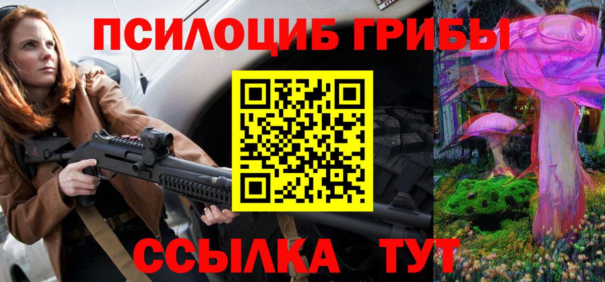 Псилоцибиновые грибы мицелий Долгопрудный