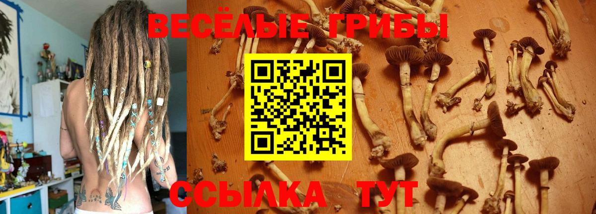 Галлюциногенные грибы Долгопрудный