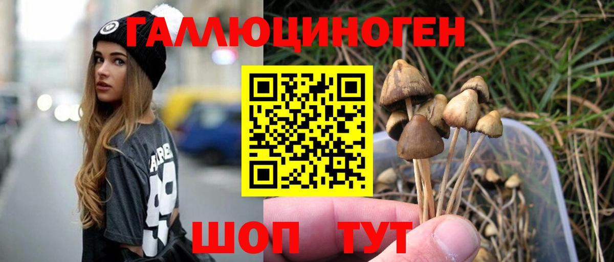 Галлюциногенные грибы мухоморы Долгопрудный